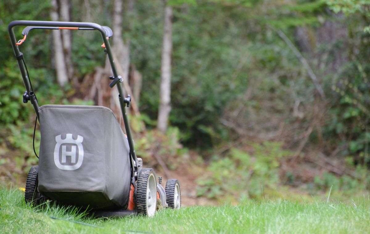 Lawn mower on a lush green lawn