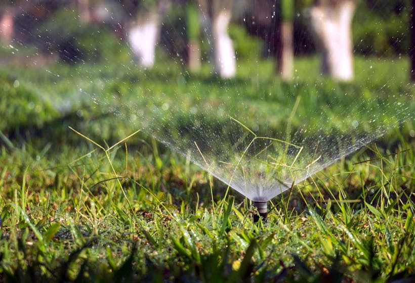 Garden sprinkler watering a lush green lawn